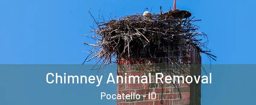  Chimney Animal Removal Pocatello - ID
