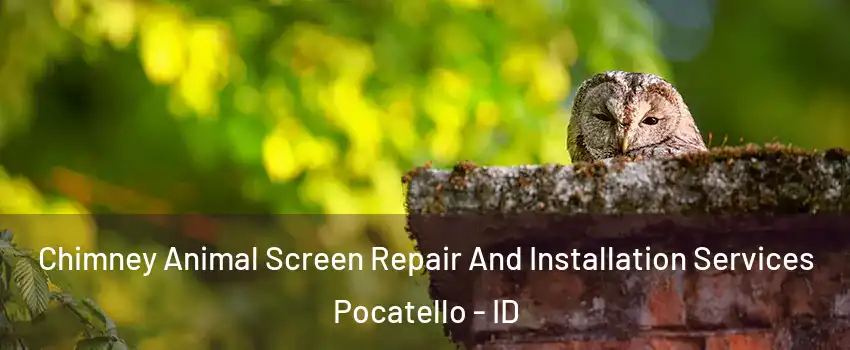  Chimney Animal Screen Repair And Installation Services Pocatello - ID