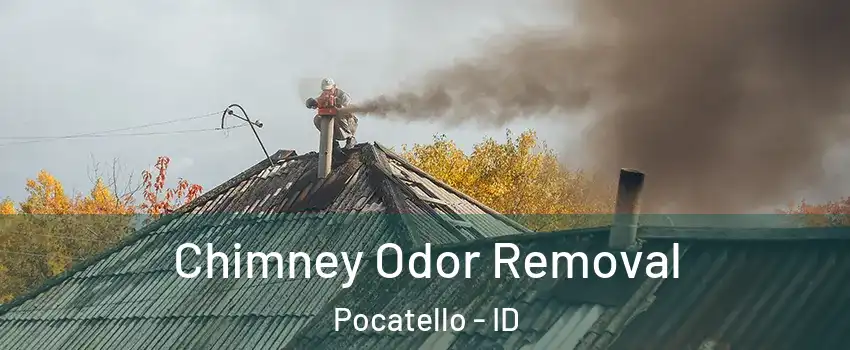  Chimney Odor Removal Pocatello - ID
