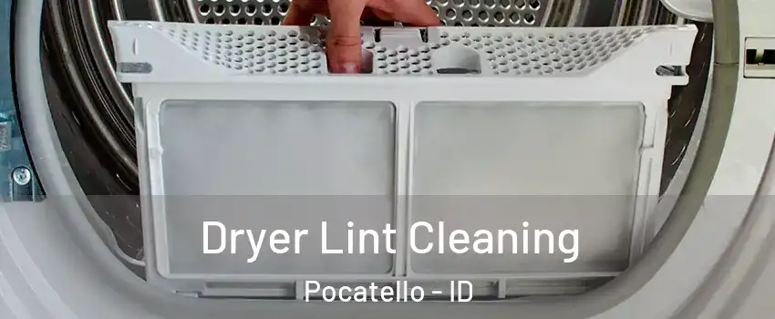  Dryer Lint Cleaning Pocatello - ID