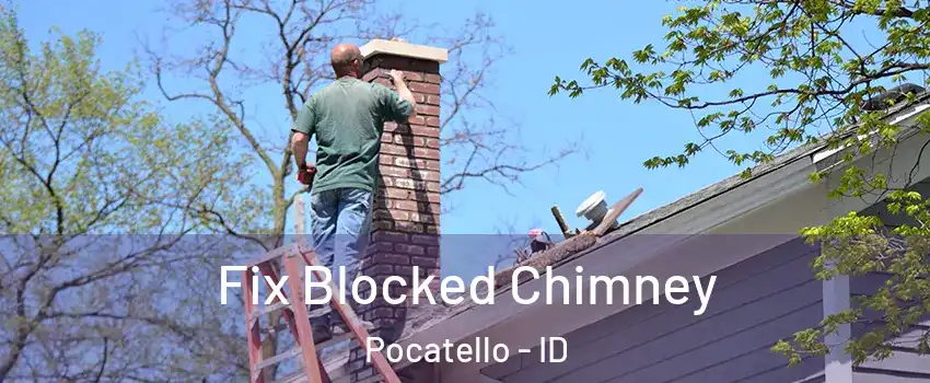  Fix Blocked Chimney Pocatello - ID