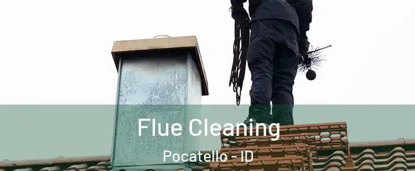  Flue Cleaning Pocatello - ID
