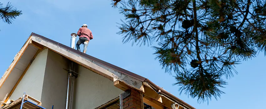 Birds Removal Contractors from Chimney in Pocatello, ID