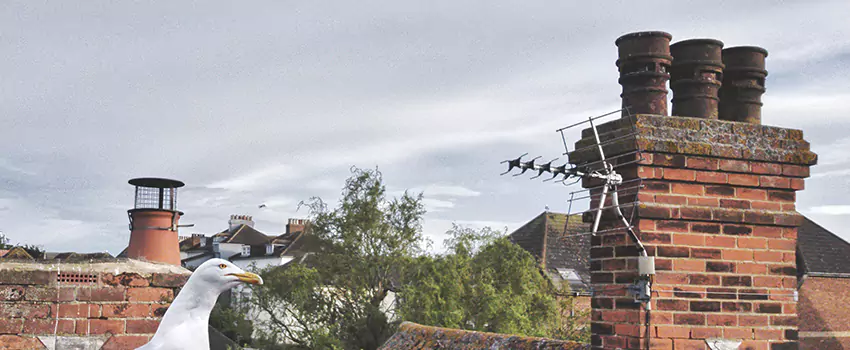 Chimney Cleaning And Restoration in Pocatello, Idaho
