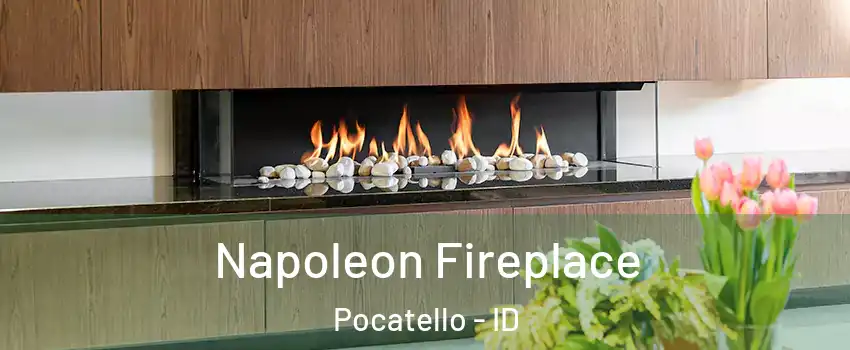  Napoleon Fireplace Pocatello - ID